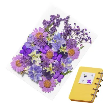 35Pcs / кутия 3D сухи цветя нокти изкуство декорации истински сушени цветя стикери DIY маникюр дизайни за нокти аксесоари