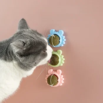 360° въртене естествен коча билка домашни любимци Roducts котка дъвчене играчки аксесоари коте ядливи лечение почистване зъби подигравателен консумативи